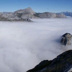 Picos de Europa