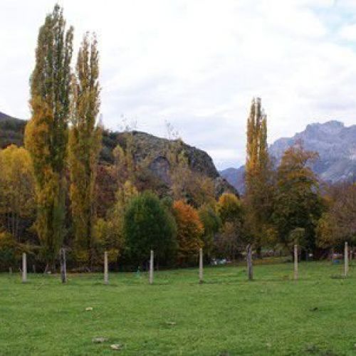 Picos de Europa