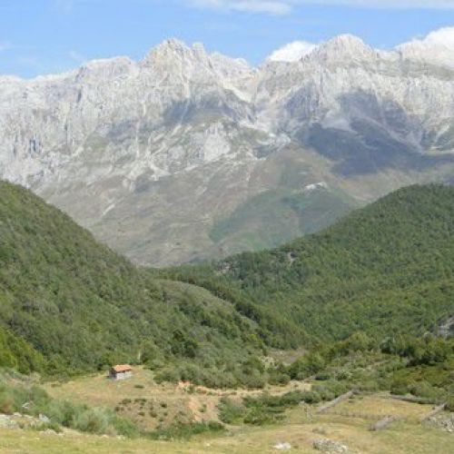 Picos de Europa