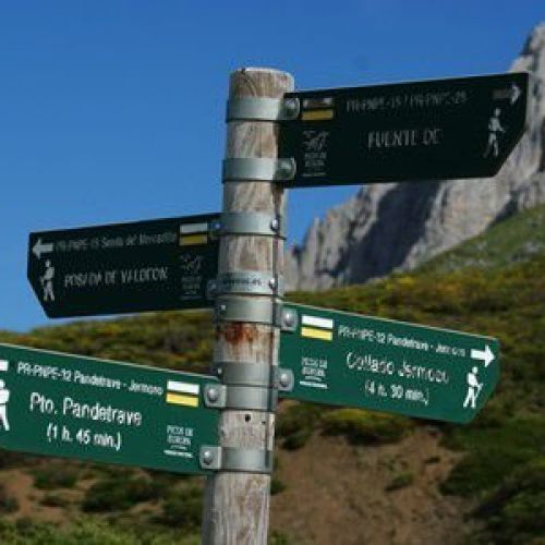 Picos de Europa