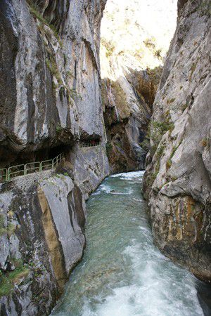 Picos europa