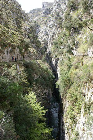 Picos europa