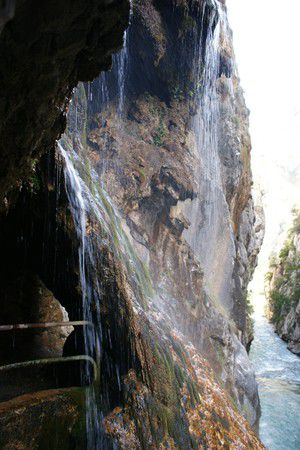 Picos europa