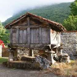 Entorno rural para disfrutar de la calma y el aire libre.