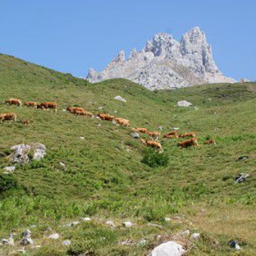 Turismo activo en León con paisajes de montaña.