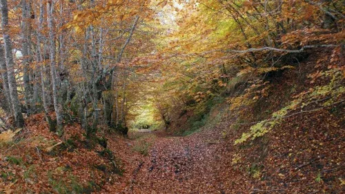 Espacios naturales en León