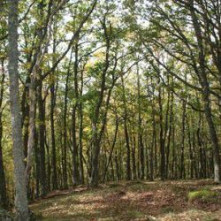 Entorno natural para disfrutar de la montaña y el aire libre.