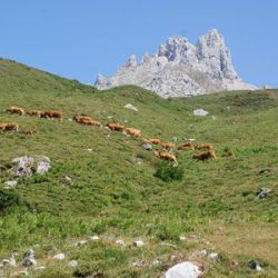 Turismo activo en León con paisajes de montaña.